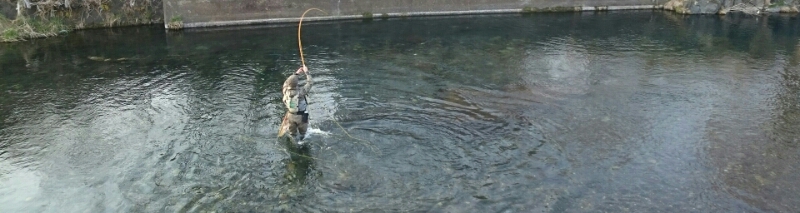 f0266202_5502189.jpg