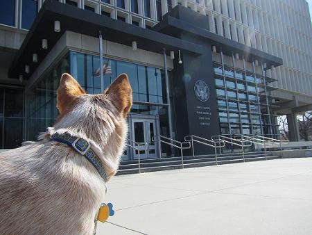 a0310405_13164985.jpg
