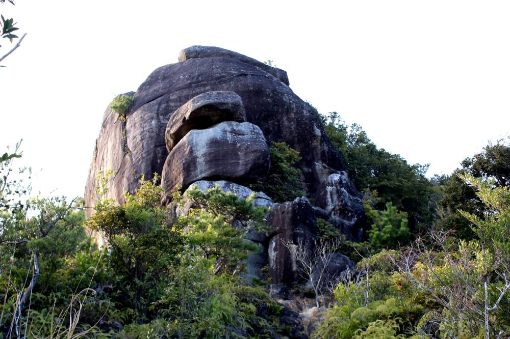 f0212511_20351611.jpg