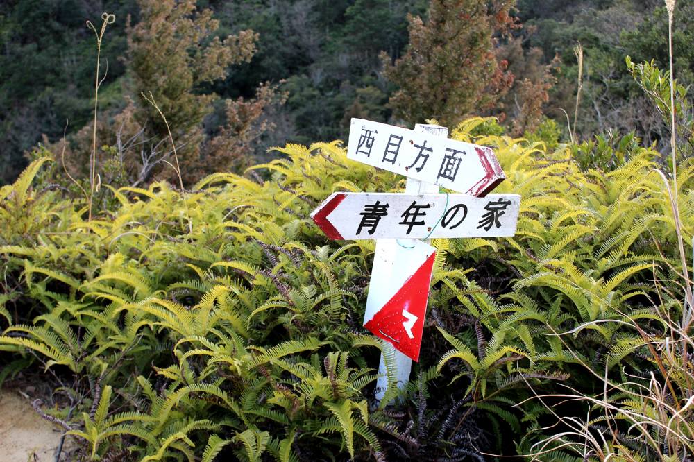 f0212511_20353832.jpg