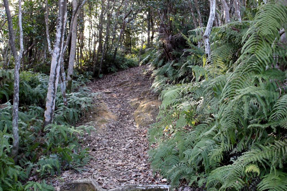 f0212511_2035491.jpg
