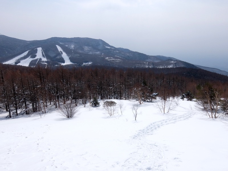 b0207615_22325288.jpg