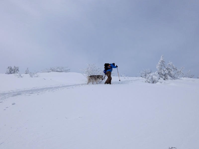 b0207615_22331340.jpg