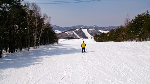 b0001324_10323450.jpg