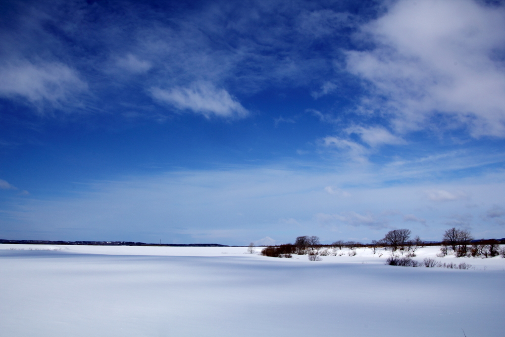 d0236741_20504329.jpg