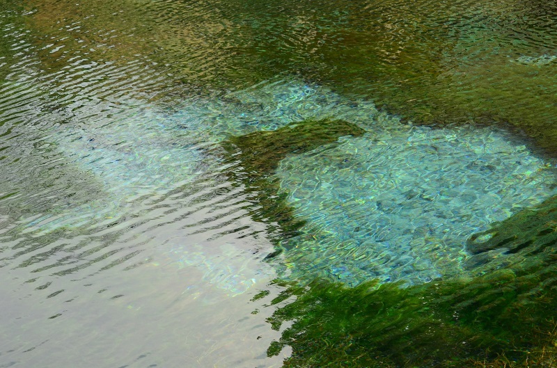b0288942_1923438.jpg