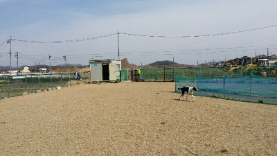 a0130451_13204241.jpg