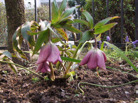 e0088260_12073624.jpg