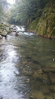 b0315366_2231364.jpg