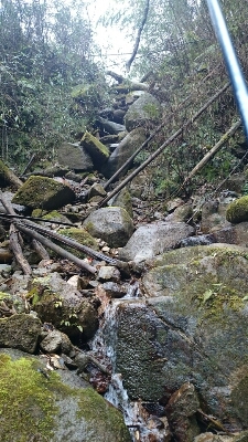 b0315366_2253250.jpg