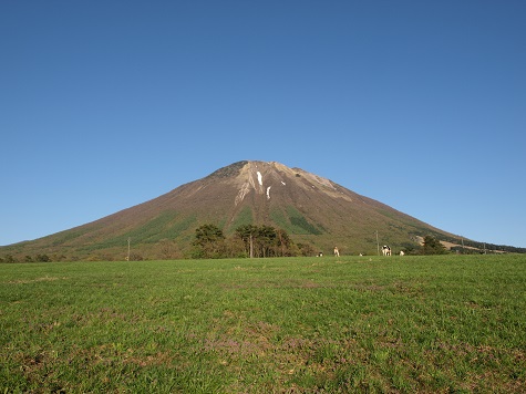 f0007166_1226595.jpg