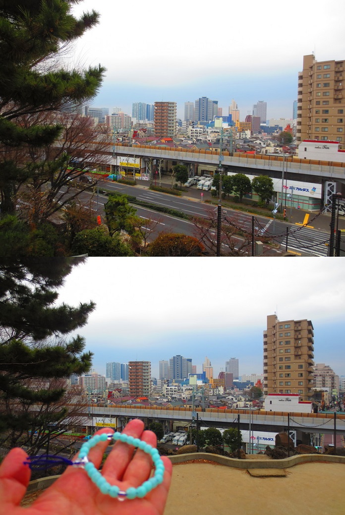 f0096569_6553850.jpg