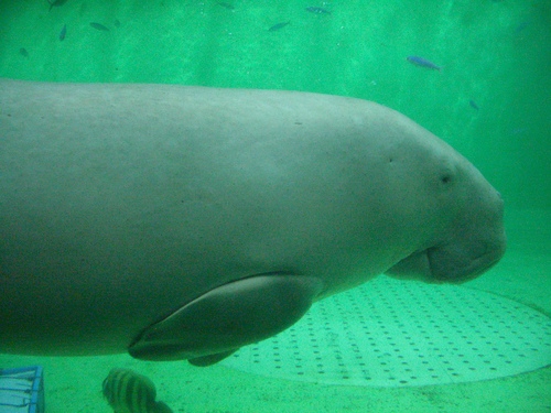 c0193381_14384166.jpg