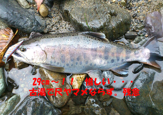 f0183484_174717.png