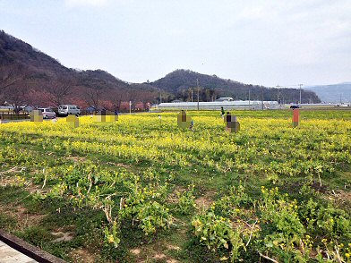 c0014187_2442143.jpg