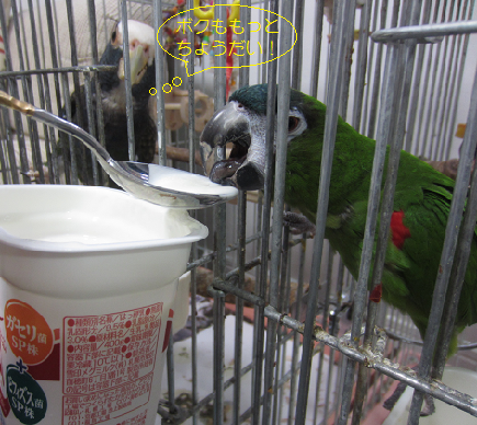 f0234590_8525257.png