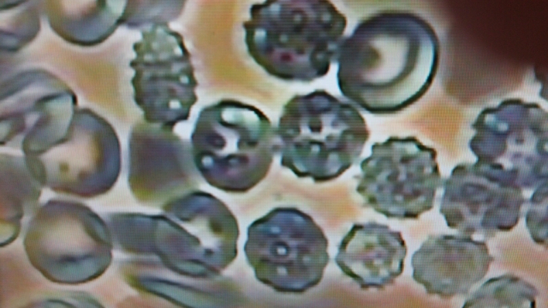 c0109891_8283328.jpg