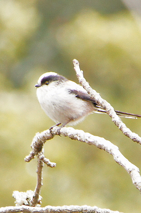 c0139591_9591558.jpg