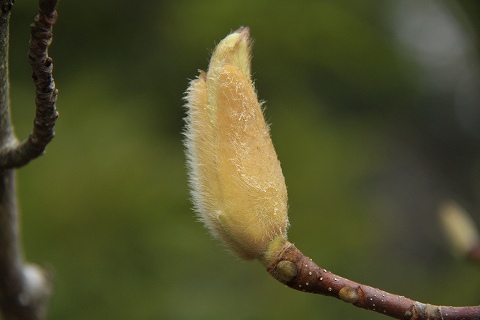 a0222494_17162070.jpg