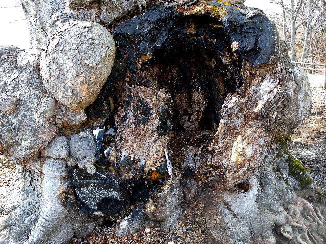 a0199297_10575646.jpg
