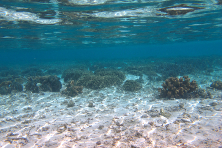 d0298808_20455134.jpg