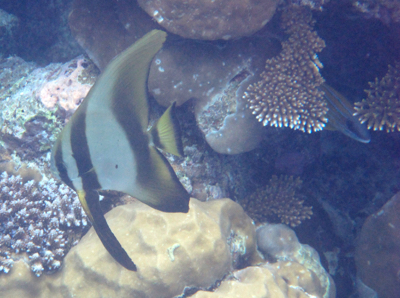 d0298808_204614100.jpg