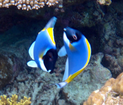 d0298808_20464638.jpg