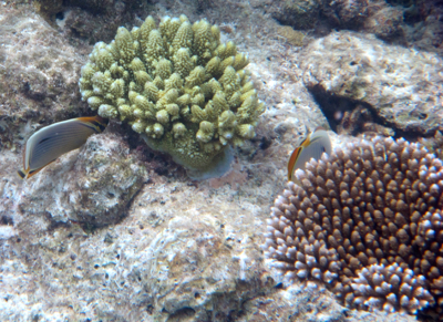 d0298808_2046930.jpg