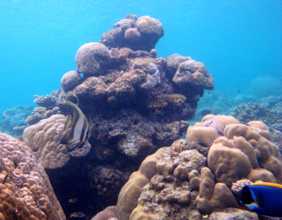 d0298808_2047183.jpg