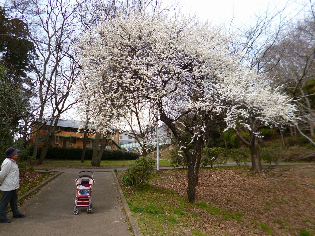 c0280416_1584725.jpg