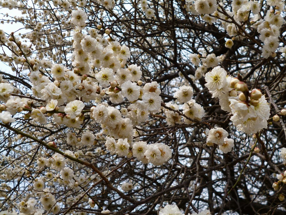 c0280416_159258.jpg