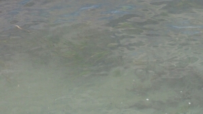 b0259124_4121142.jpg