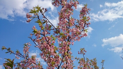 b0259124_4355959.jpg