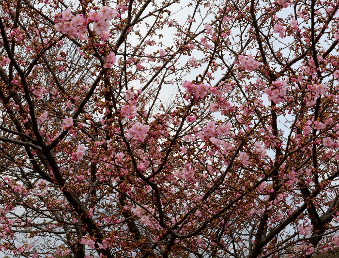 f0103126_21183554.jpg