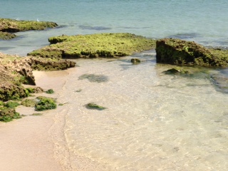 c0051529_19265118.jpg