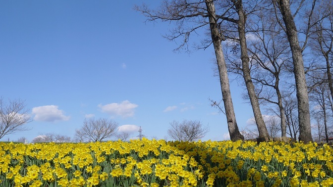 f0231829_22274017.jpg