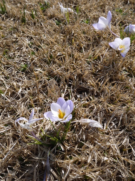 f0231829_22290539.jpg