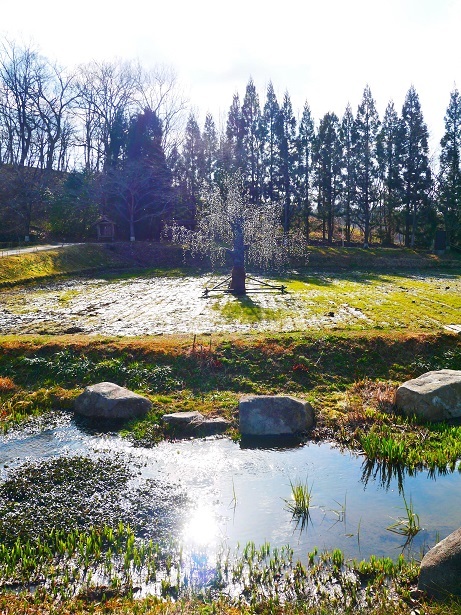 f0231829_22291500.jpg