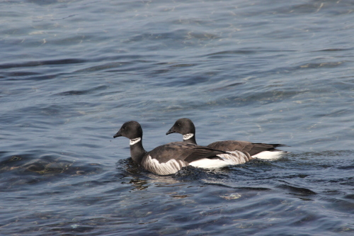 f0118332_16025003.jpg