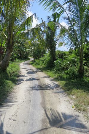 c0148238_1921157.jpg