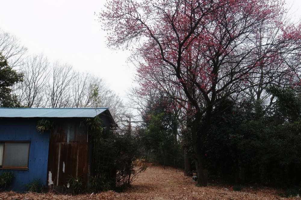 e0009147_19331430.jpg