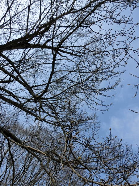 b0167759_1712482.jpg