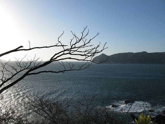 a0052762_22312940.jpg