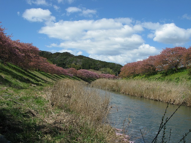 a0052762_22454841.jpg