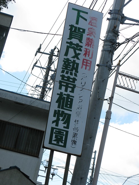 a0052762_22532769.jpg