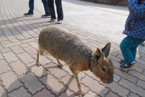 e0045768_22145281.jpg