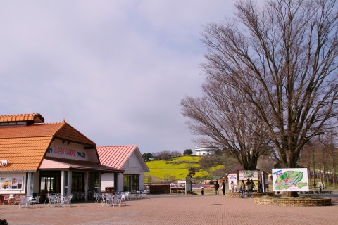 e0045768_2283257.jpg