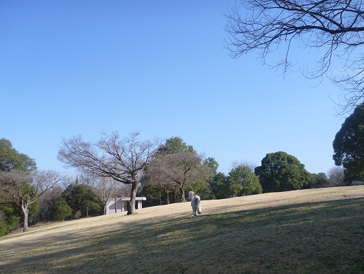 e0161972_10552468.jpg