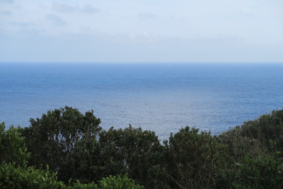 e0292172_20525346.jpg