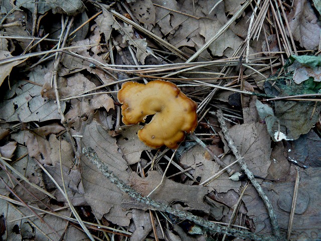 d0019074_13144539.jpg